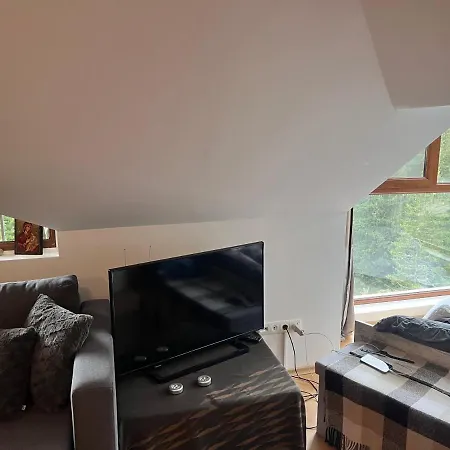 Cozy At The Castle - Lejlighed Pamporovo