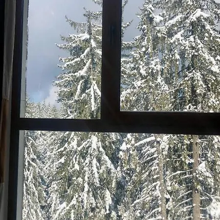 Lejlighed Cozy At The Castle - Pamporovo